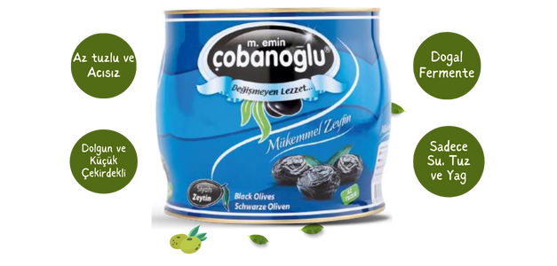 çobanoğlu zeytinleri yeşil zeytin