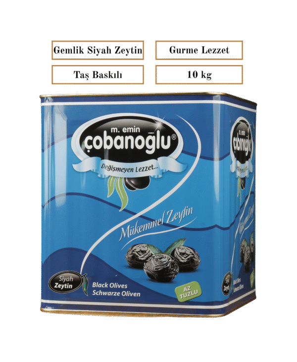SİYAH ZEYTİN